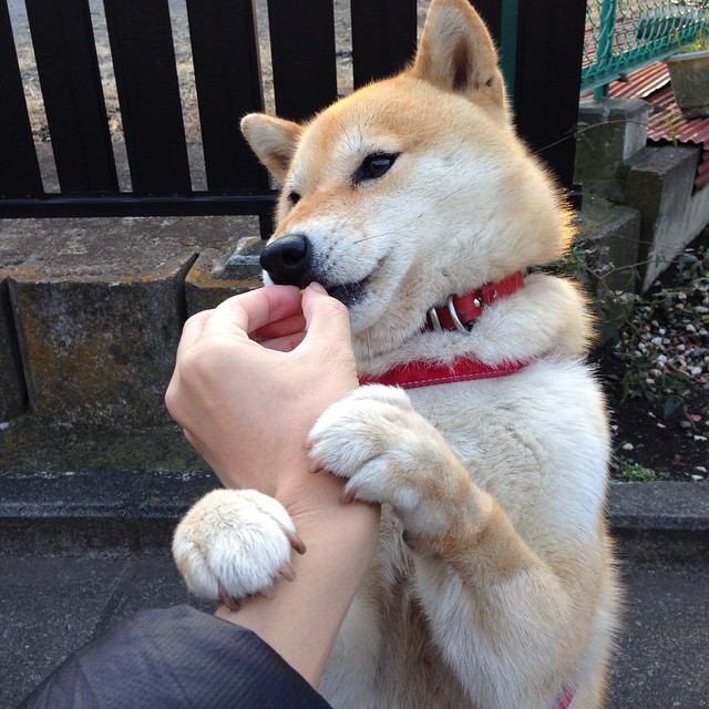 乌拉圭女篮在南美锦标赛中不断开拓，迈向篮球新纪元，乌拉圭女子联赛