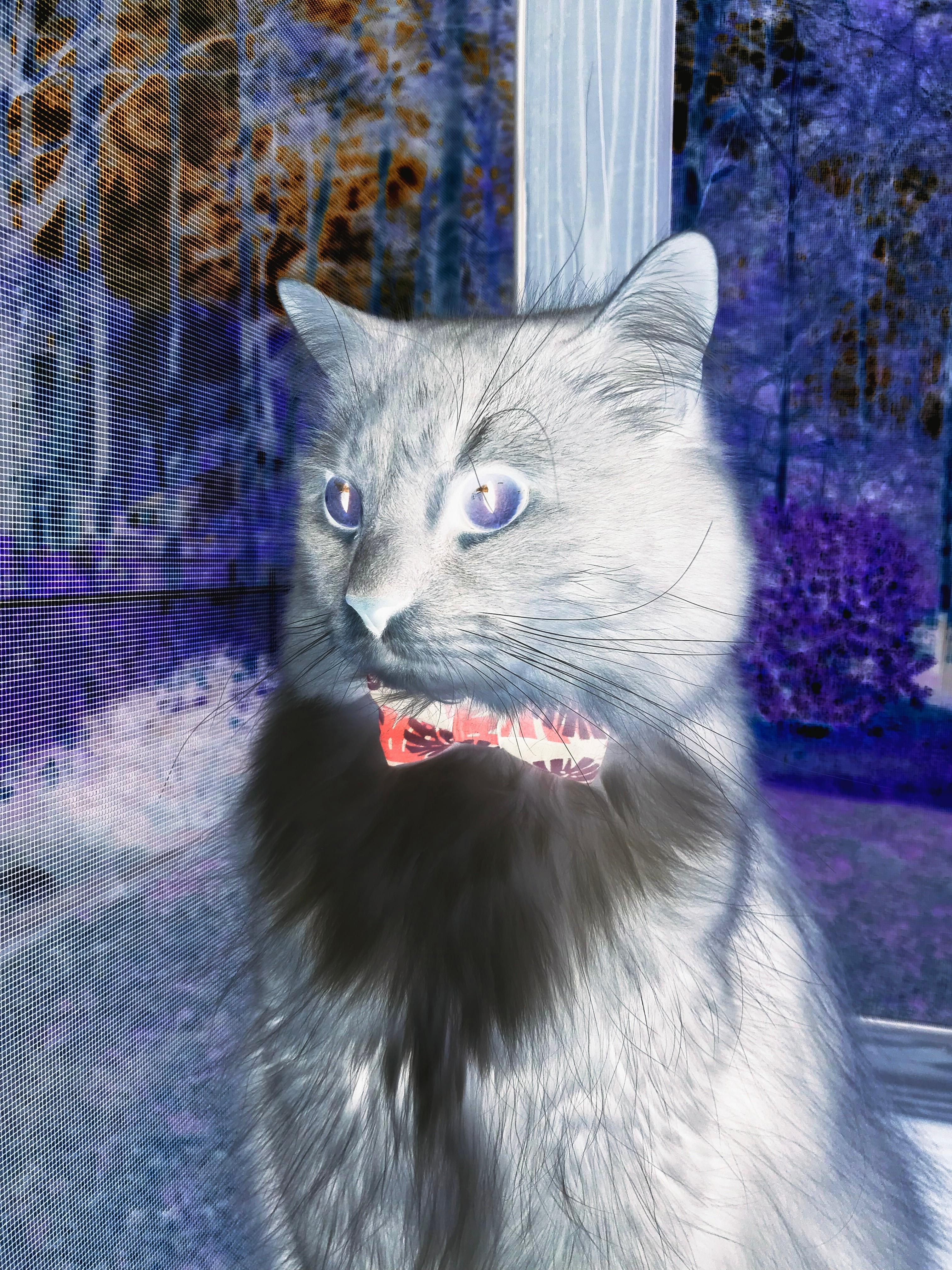 凯莉·麦基翁展现强大耐力与爆发力,凯莉·麦吉利斯现照