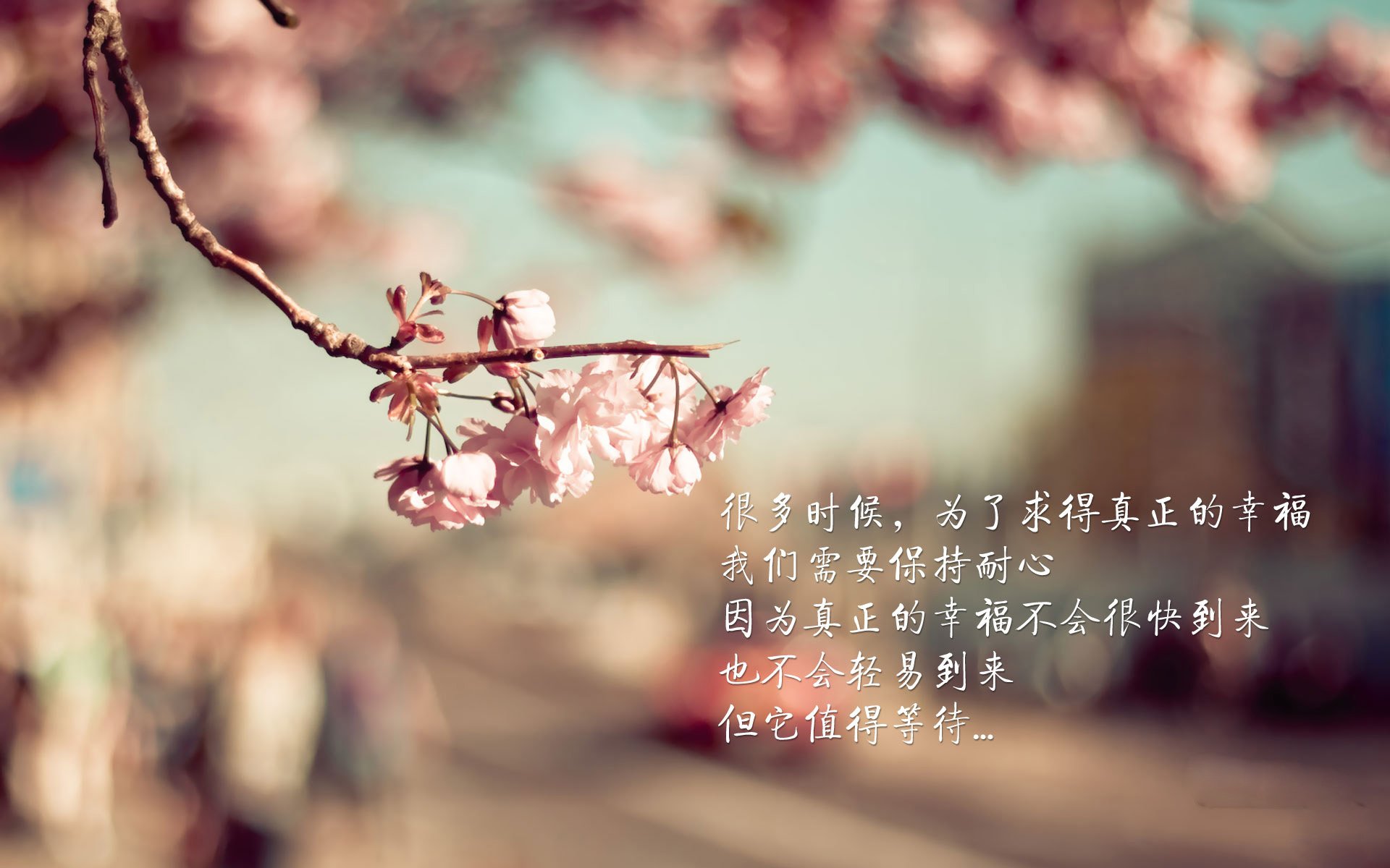 女子英格兰队世界排名持续上升,英格兰输球后,英国女性行动起来了